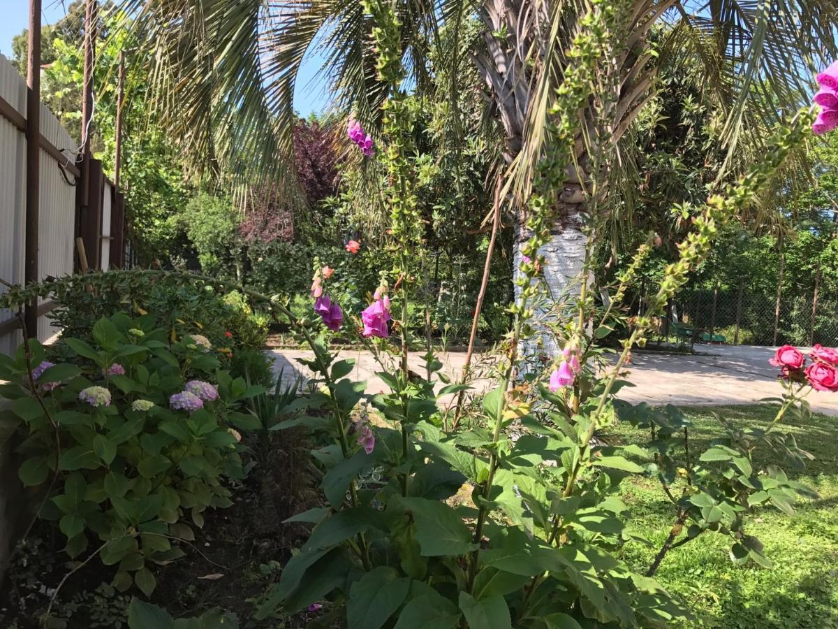 Guest House Evkalipt オチャムチラ エクステリア 写真